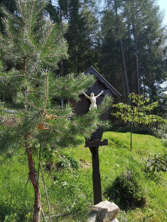 Almhaus Oedlstein Sankt Stefan im Lavanttal Exterior foto